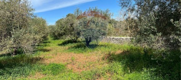 10700m² Land in Carovigno, Italy No. 163527 10