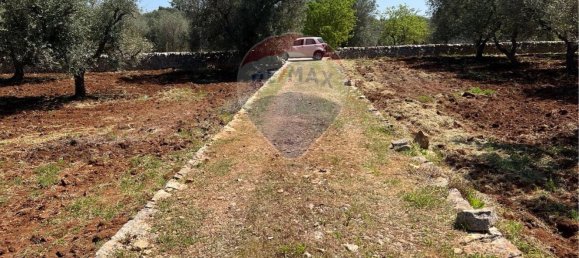 10700m² Land in Carovigno, Italy No. 163527 5