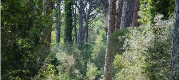  Land in Ravenna, Italy No. 358886 2