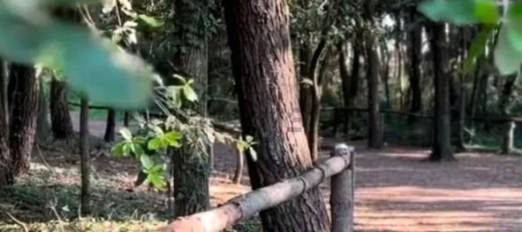  Land in Ravenna, Italy No. 358886 3