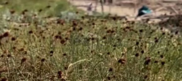  Land in Ravenna, Italy No. 358886 5