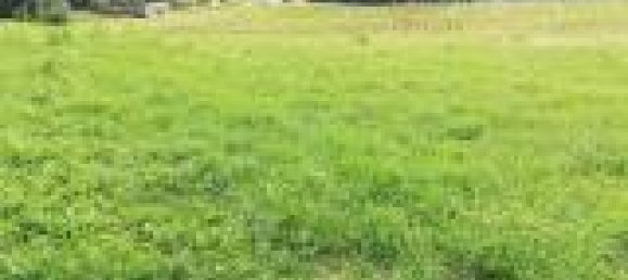 قطعة أرض في Gamlitz, Austria 946متر مربع رقم 75687 4