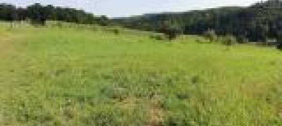 قطعة أرض في Gamlitz, Austria 946متر مربع رقم 75687 5