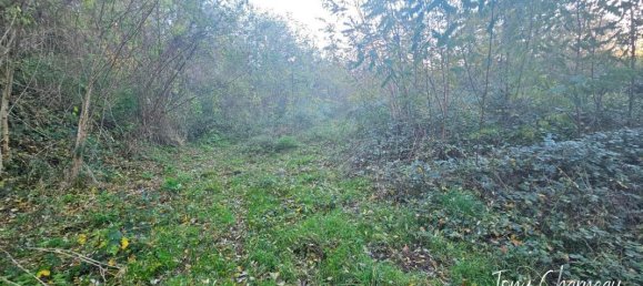 Terreno em Epuisay, France N.º 77818 9