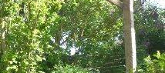 6 rooms House in Northeim, Germany No. 355460 7