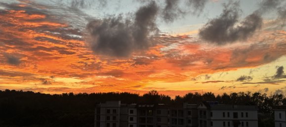 Eigentumswohnung in Phuket, Thailand 46m², Nr. 72524 5