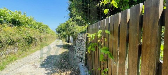 Grundstück in Caminha, Portugal 723m², Nr. 50657 6