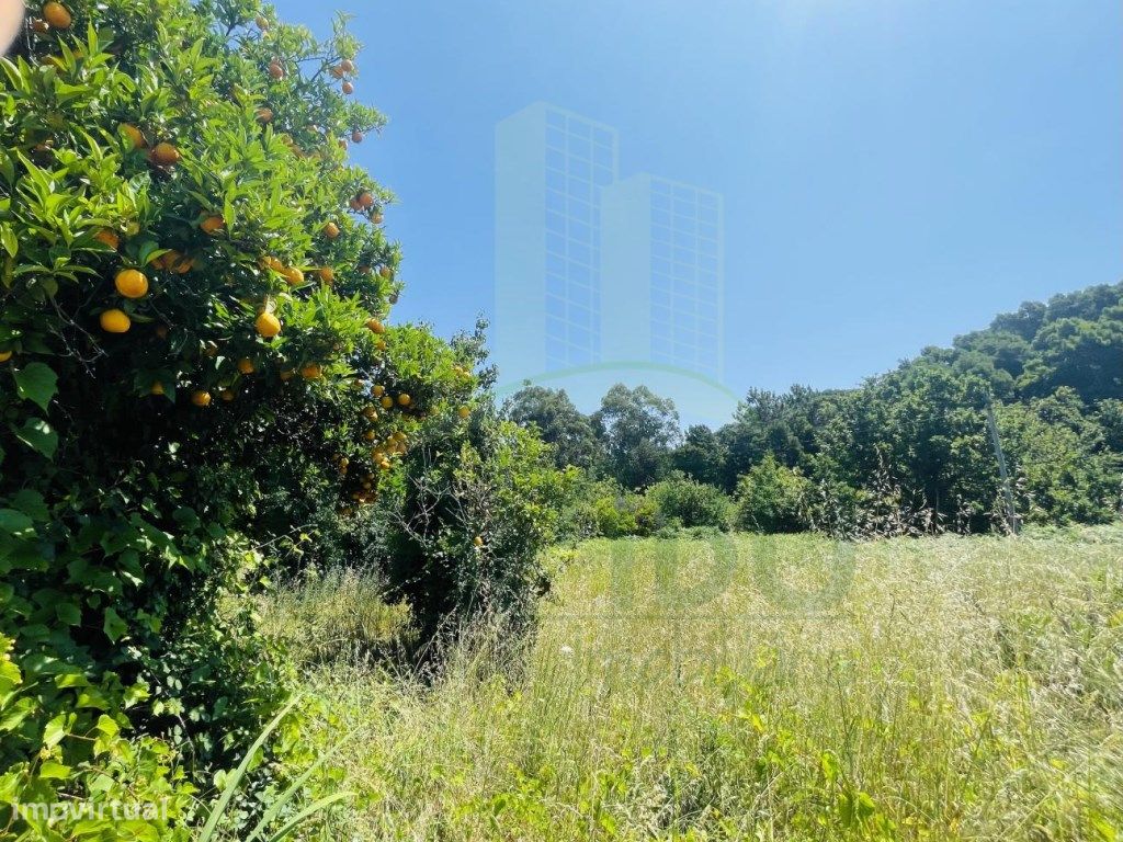 Grundstück in Caminha, Portugal 723m², Nr. 50657