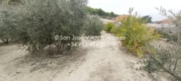 1 Schlafzimmer Haus in Aspe, Spain, Nr. 27562 11