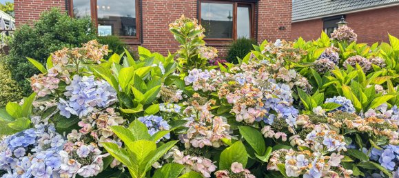 4 bedrooms House in Stormarn, Germany No. 278399 2