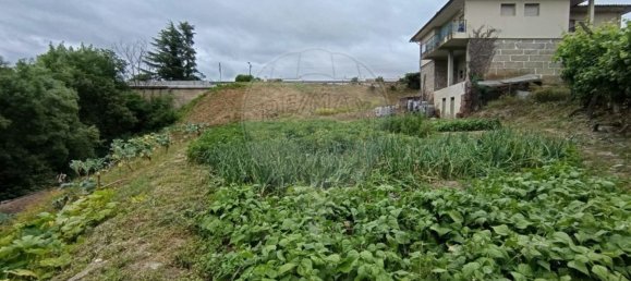 4 bedrooms House in Vila Real, Portugal No. 21588 37