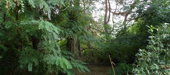 2 Schlafzimmer Stadthaus in Jerichower Land, Germany, Nr. 177780 3