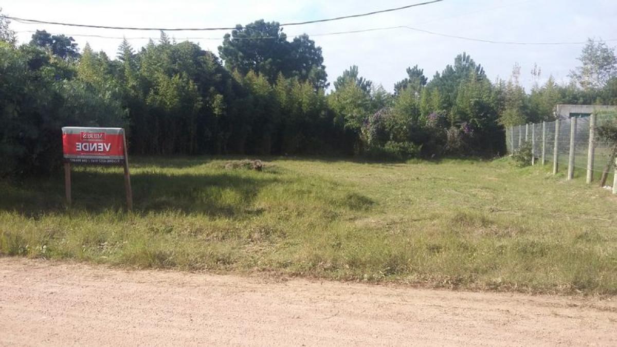 Grundstück in Maldonado, Uruguay, Nr. 15227