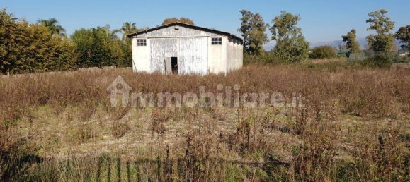 1 room Warehouse in Terracina, Italy No. 162572 7