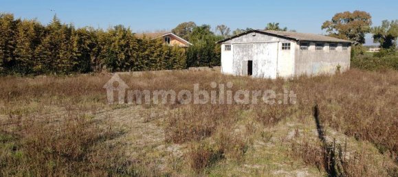 1 room Warehouse in Terracina, Italy No. 162572 6