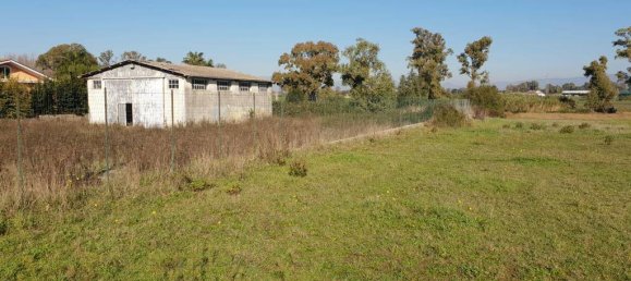 1 room Warehouse in Terracina, Italy No. 162572 5