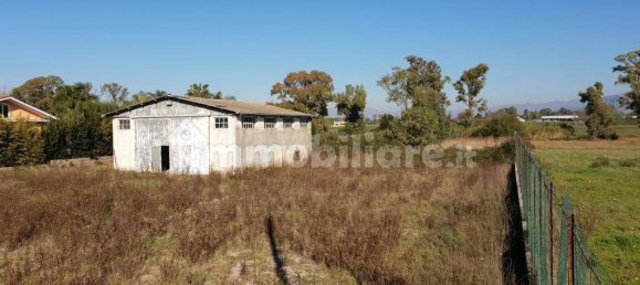 1 room Warehouse in Terracina, Italy No. 162572 4