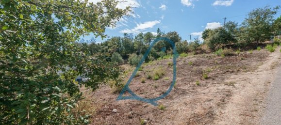 1010m² Land in Ourem, Portugal No. 339960 10