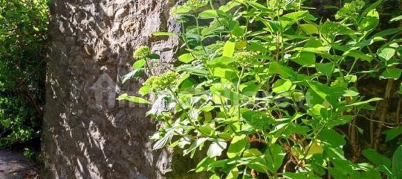 2 bedrooms Apartment in Poppi, Italy No. 165644 43