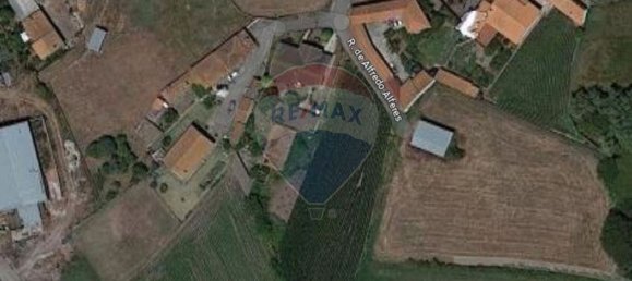 921m² Land in Murtosa, Portugal No. 87598 2