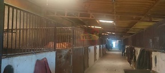 5 bedrooms House in Guimaraes, Portugal No. 10256 3