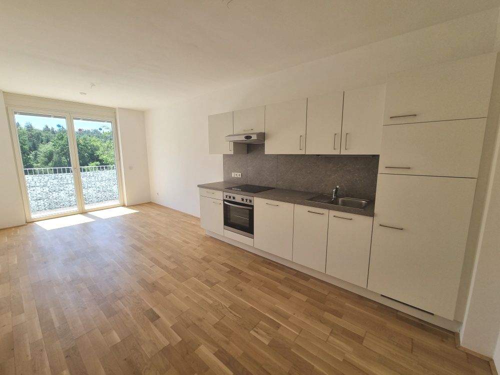 2 rooms Apartment in Ries, Austria No. 8153