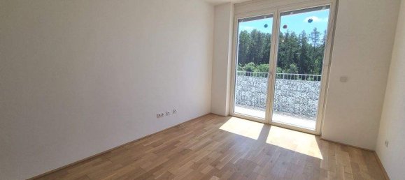 2 rooms Apartment in Ries, Austria No. 8153 3