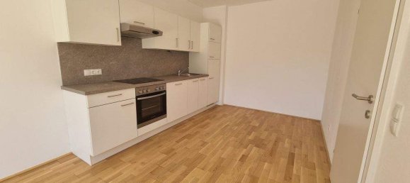 2 rooms Apartment in Ries, Austria No. 8153 2