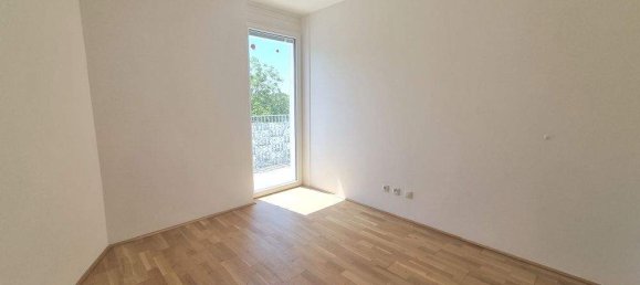 2 rooms Apartment in Ries, Austria No. 8153 4