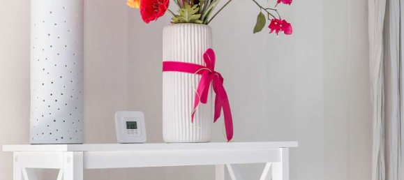 2 bedrooms Bungalow in Ostholstein, Germany No. 323231 10