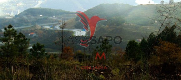  قطعة أرض في Quarteira, Portugal رقم 190562 4