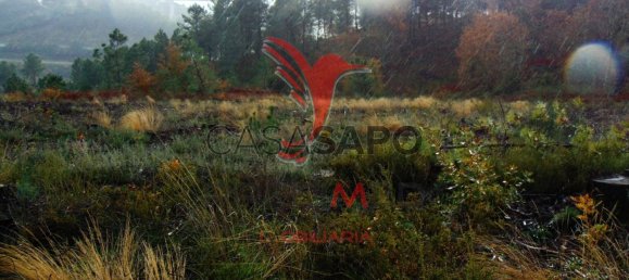  قطعة أرض في Quarteira, Portugal رقم 190562 16