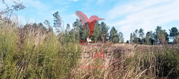  قطعة أرض في Quarteira, Portugal رقم 190562 8