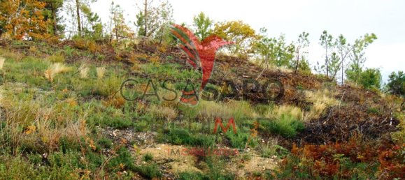  قطعة أرض في Quarteira, Portugal رقم 190562 11