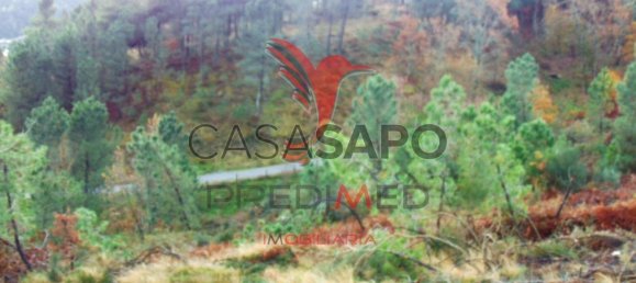  قطعة أرض في Quarteira, Portugal رقم 190562 13