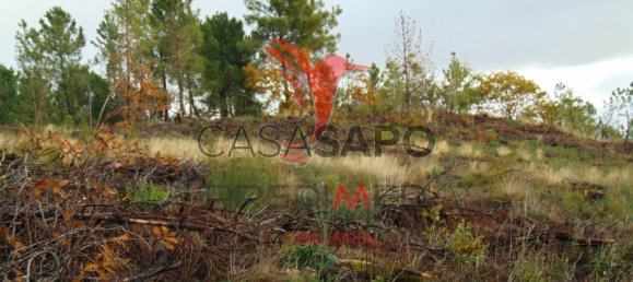  قطعة أرض في Quarteira, Portugal رقم 190562 7