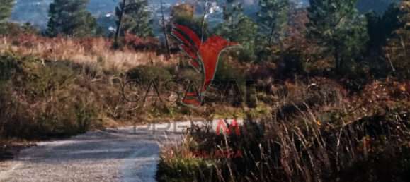  قطعة أرض في Quarteira, Portugal رقم 190562 2