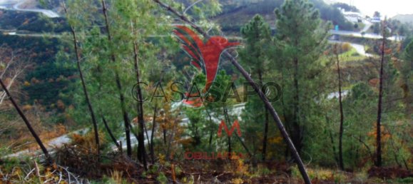  قطعة أرض في Quarteira, Portugal رقم 190562 14