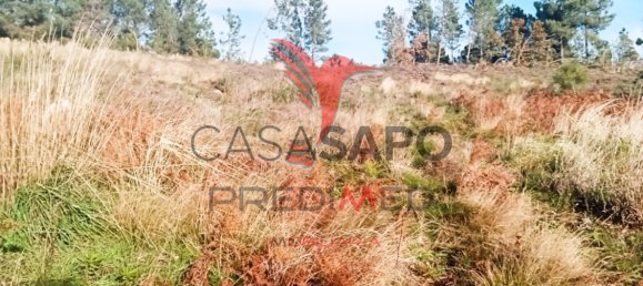  قطعة أرض في Quarteira, Portugal رقم 190562 9