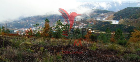  قطعة أرض في Quarteira, Portugal رقم 190562 5