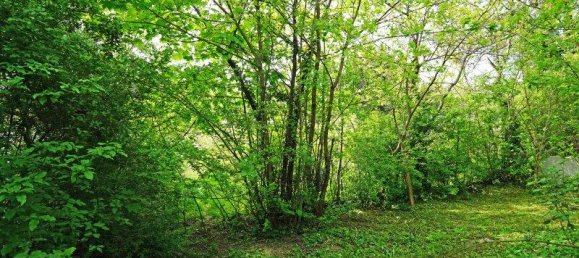 Terreno en Penzing, Austria 603 m² No. 143407 8