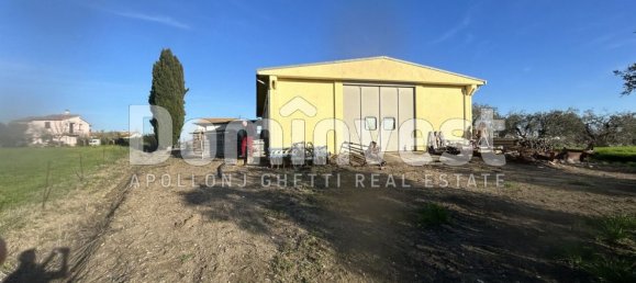 240m² Warehouse in Capalbio, Italy No. 83974 9