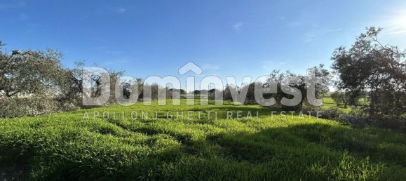 240m² Warehouse in Capalbio, Italy No. 83974 5