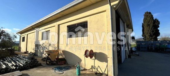 240m² Warehouse in Capalbio, Italy No. 83974 4