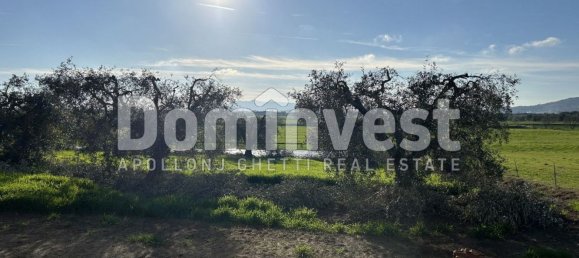 240m² Warehouse in Capalbio, Italy No. 83974 11