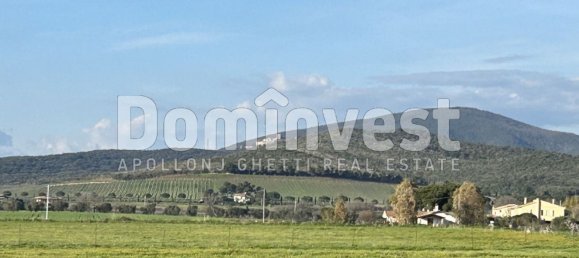 240m² Warehouse in Capalbio, Italy No. 83974 10