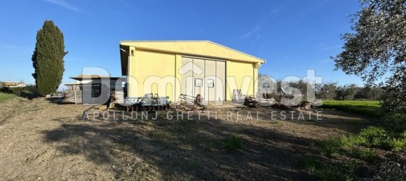 240m² Warehouse in Capalbio, Italy No. 83974 8