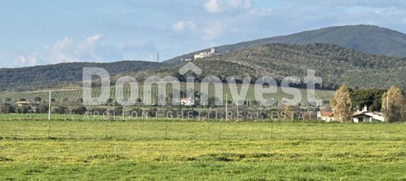 240m² Warehouse in Capalbio, Italy No. 83974 7