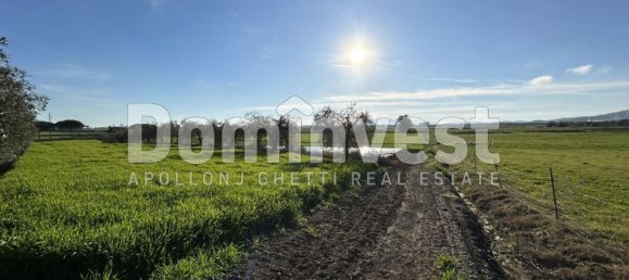 240m² Warehouse in Capalbio, Italy No. 83974 6