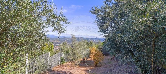 3 bedrooms House in Amarante, Portugal No. 171262 4